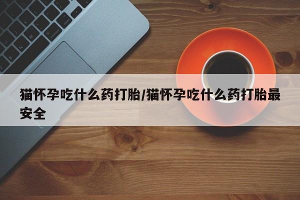 米非米索使用猫怀孕吃什么药打胎/猫怀孕吃什么药打胎最安全