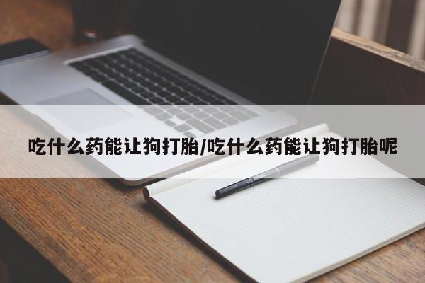 米非米索使用吃什么药能让狗打胎/吃什么药能让狗打胎呢