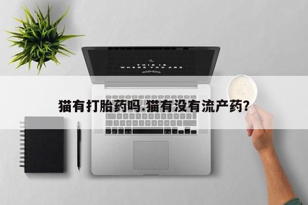 米非米索使用猫有打胎药吗.猫有没有流产药？