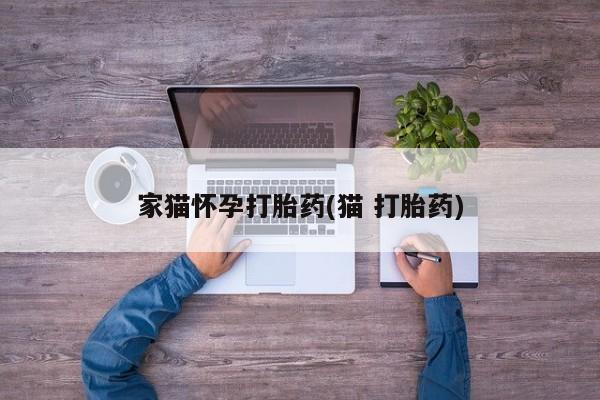 米非米索使用家猫怀孕打胎药(猫 打胎药)